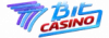 7bitcasino logo