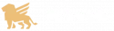 fairspin logo